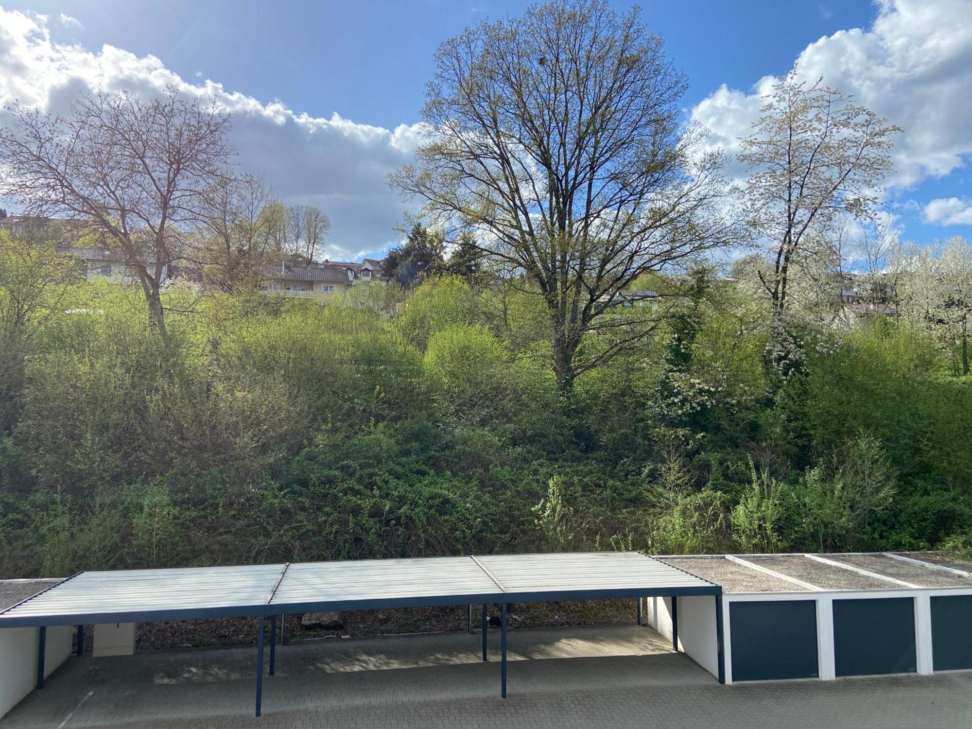 Ferienwohnung Am Erbacher Muemlingufer Erbach  ภายนอก รูปภาพ